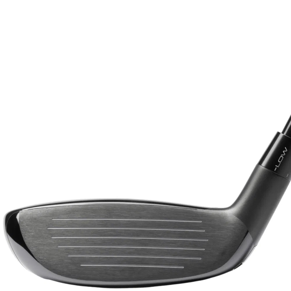 Mizuno JPX One Hybrid Custom