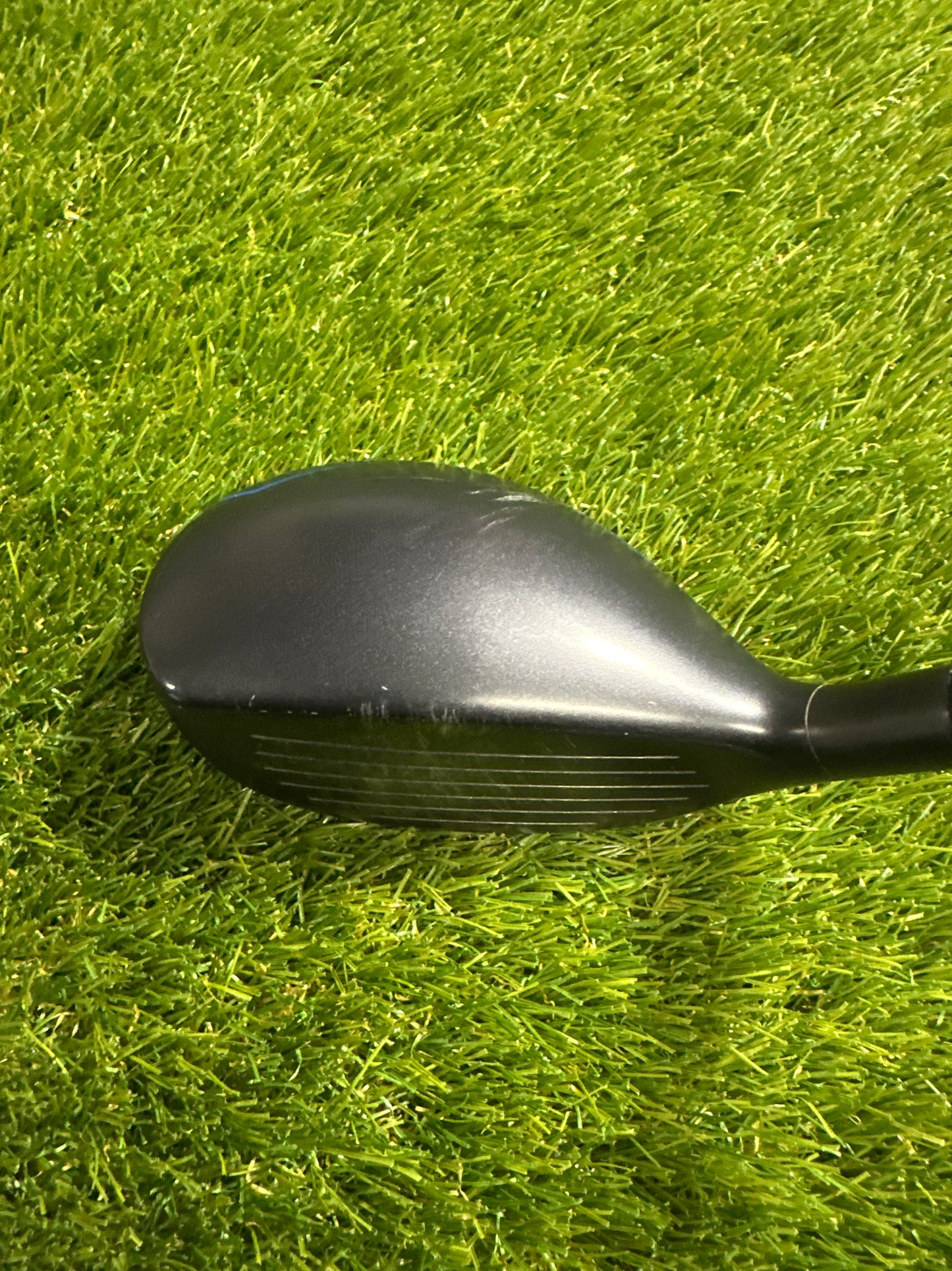 Cleveland Black 21 HYB