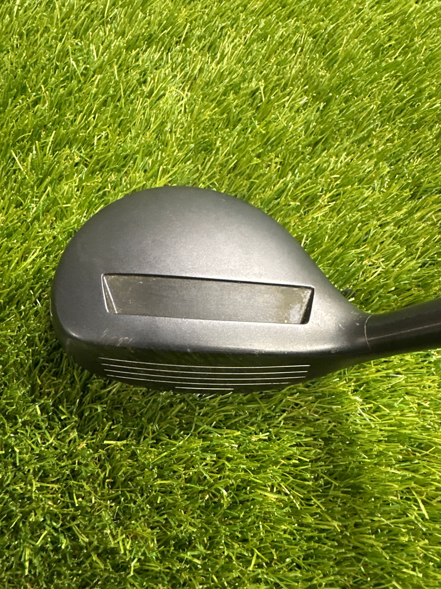 Adams Tightlies 16 FWY