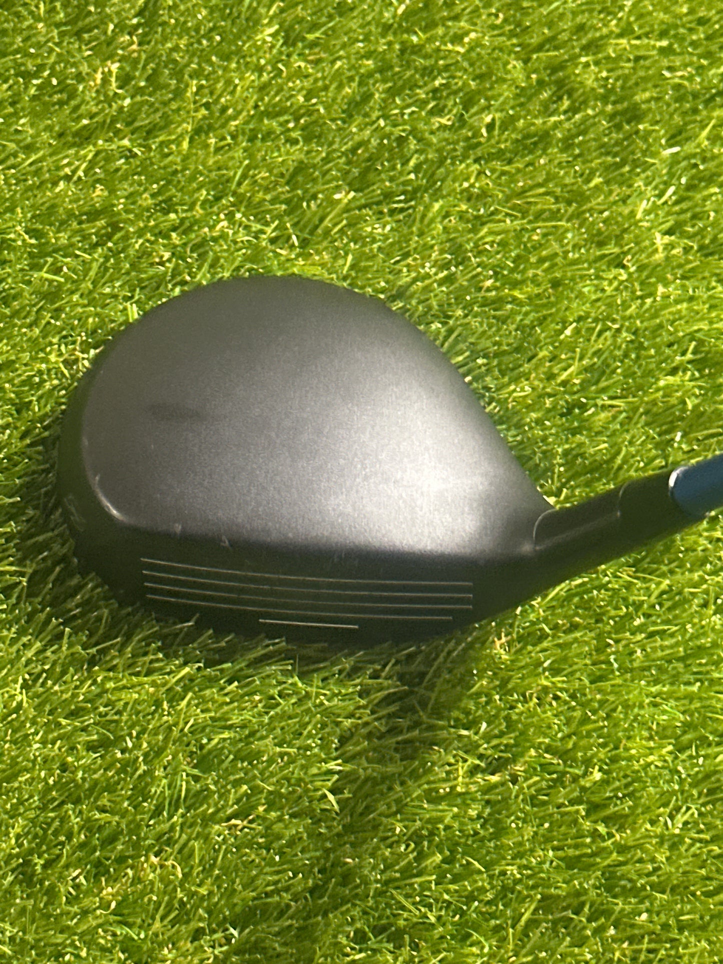 Adams Tightlies 16 FWY