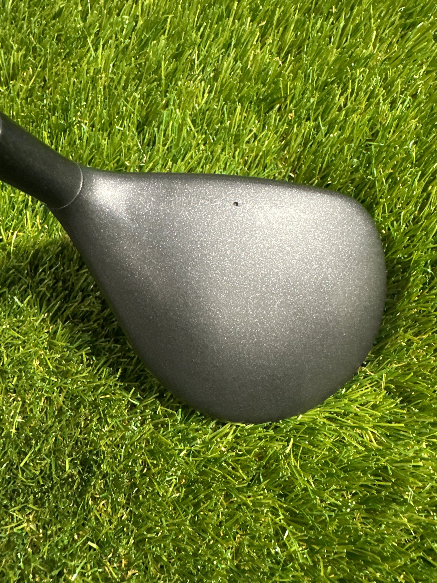 Adams Tightlies 16 FWY