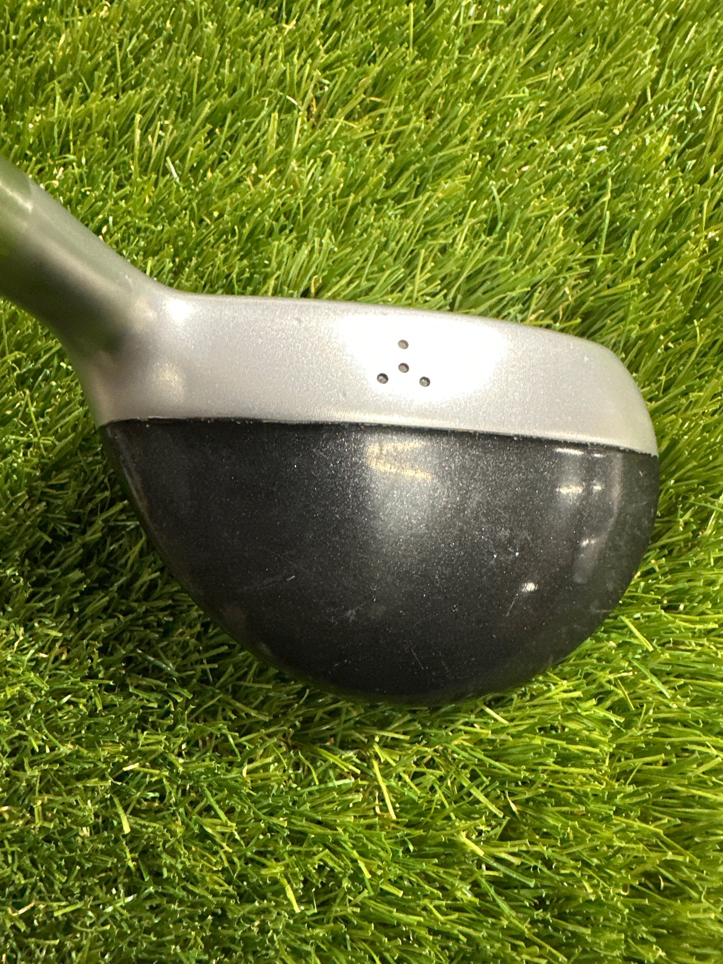 Progen Progress 5/19 FWY