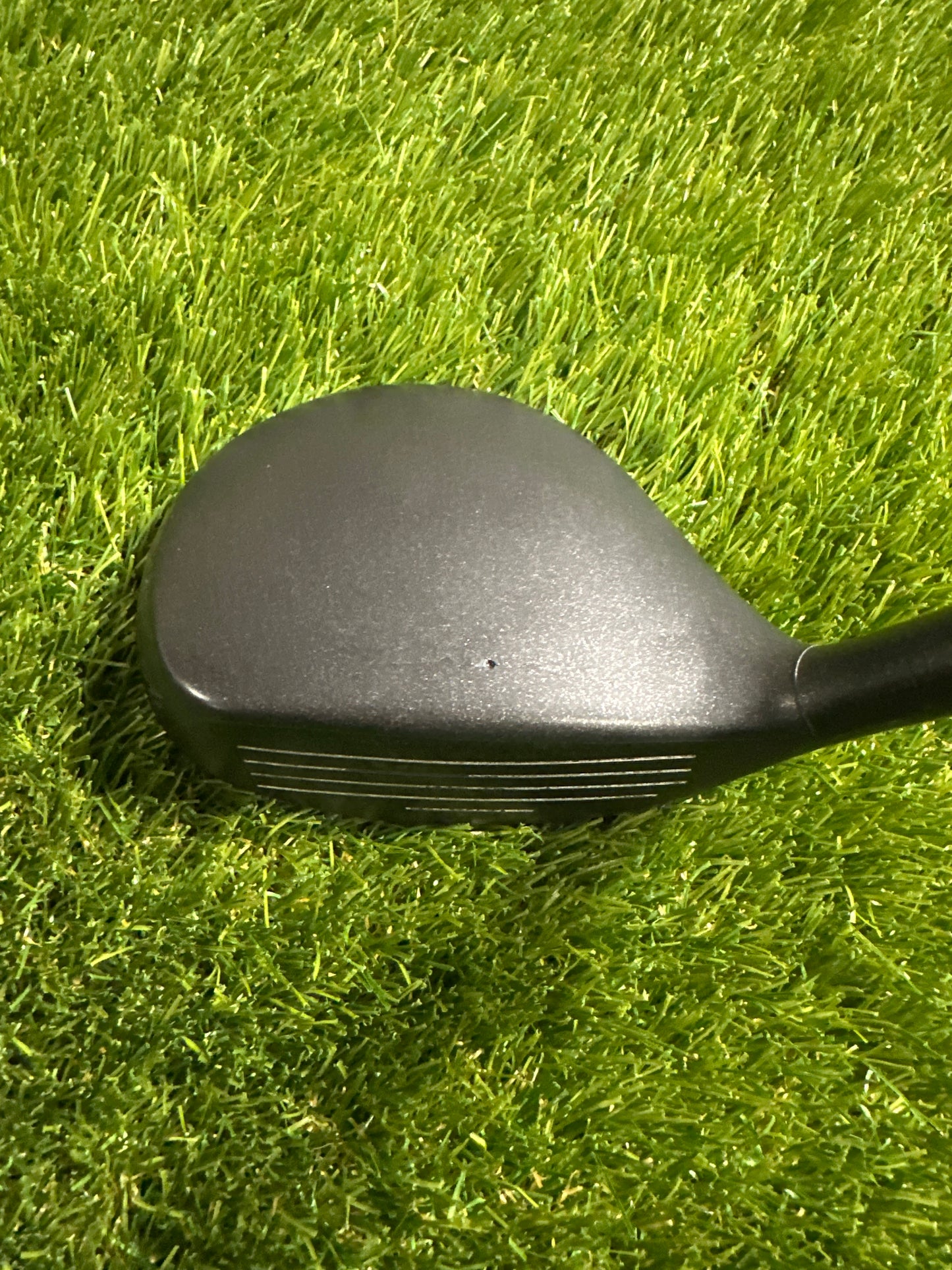 Adams Tightlies 16 FWY