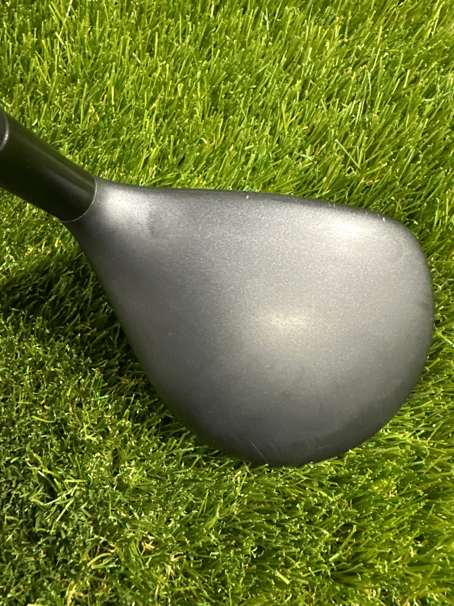 Adam Tightlies 16 FWY