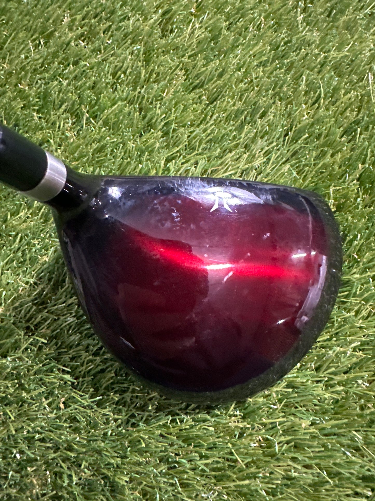 Wilson Deep Red WTXL 5 FWY