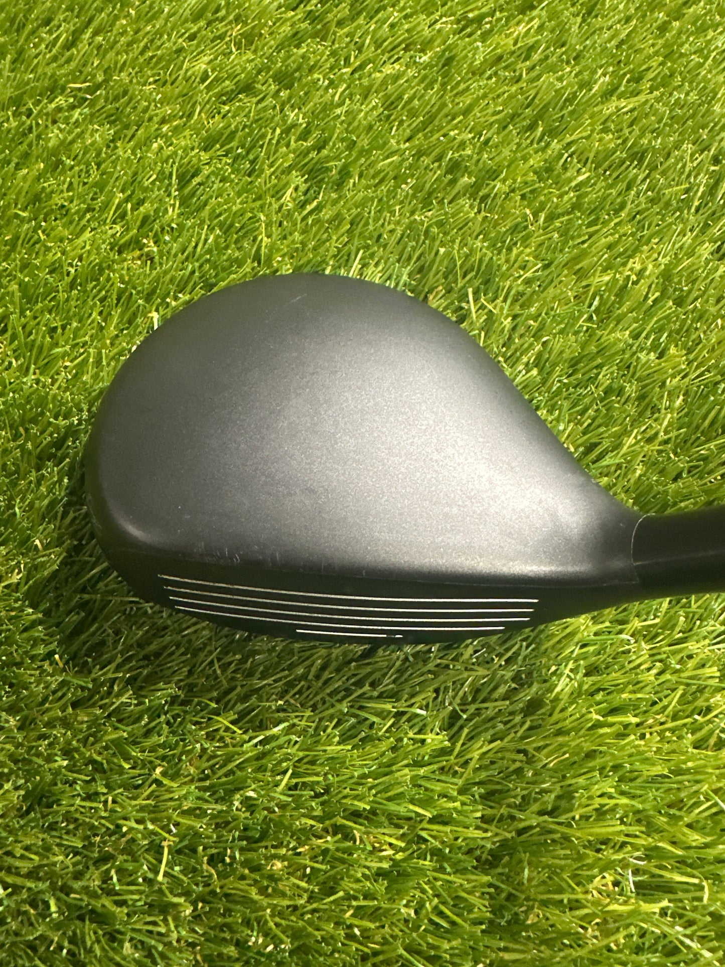 Adams Tightlies 5/19 FWY