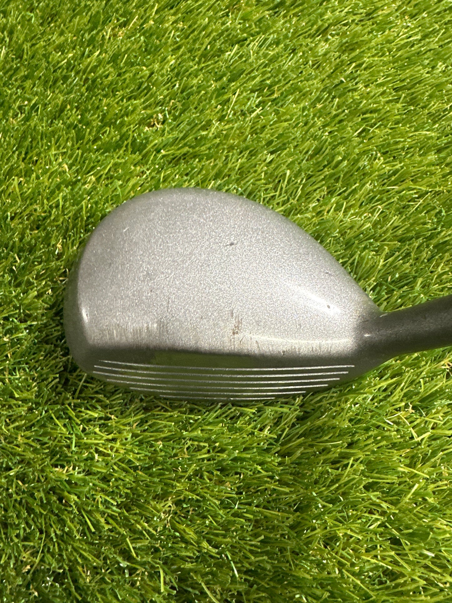 Adams Tight Lies 7 FWY