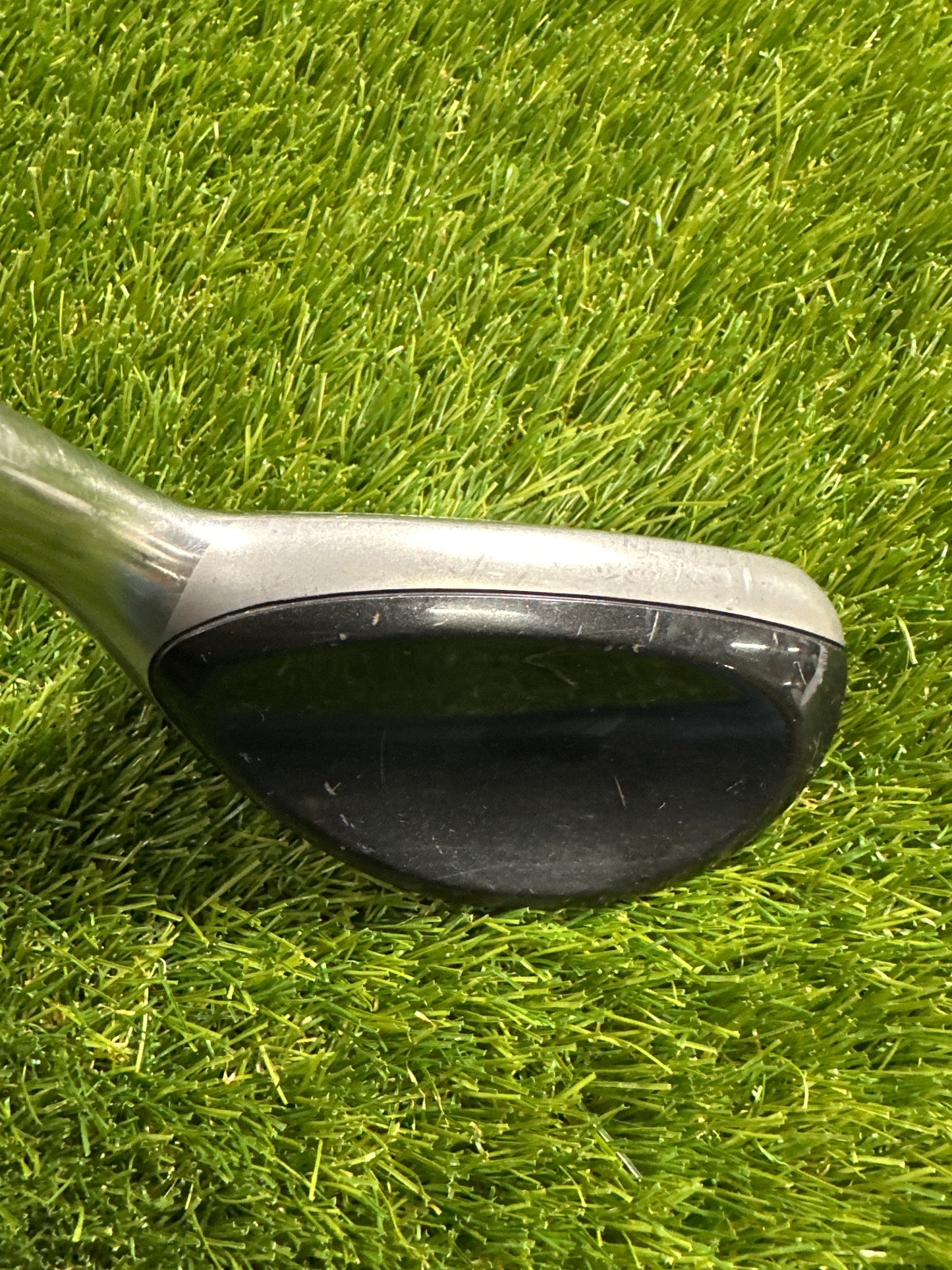 Cleveland Halo 2/19 HYB