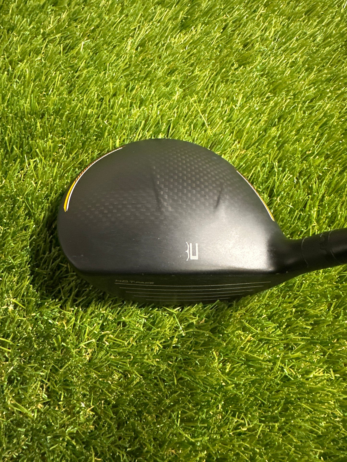 Cobra LTDX Max 15.5 FWY