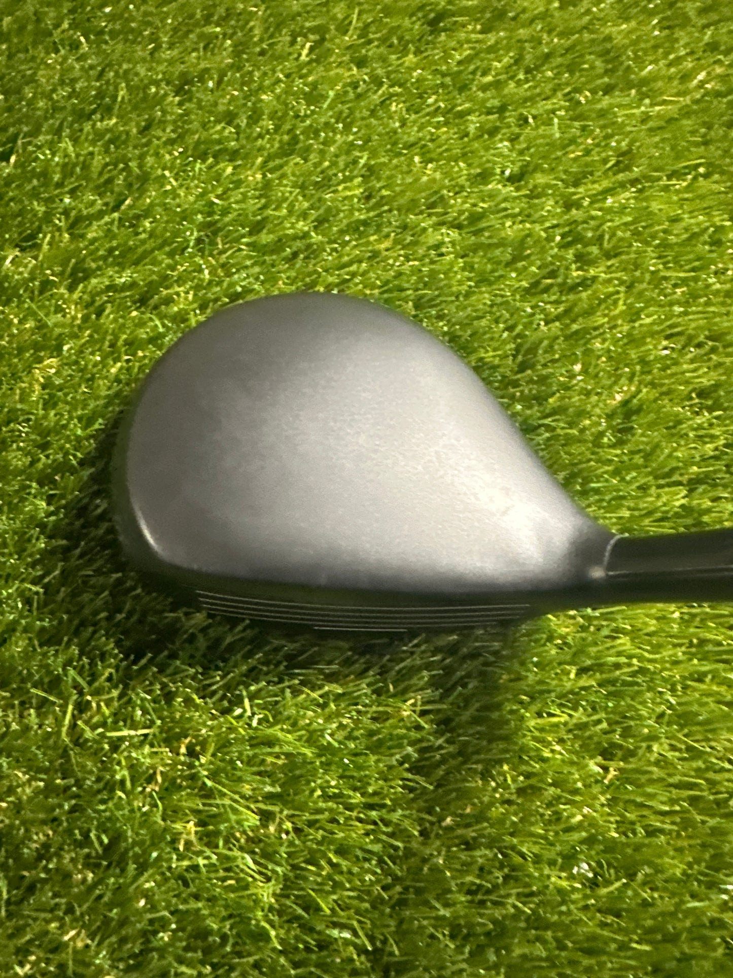 Adams Tightlies 16 FWY