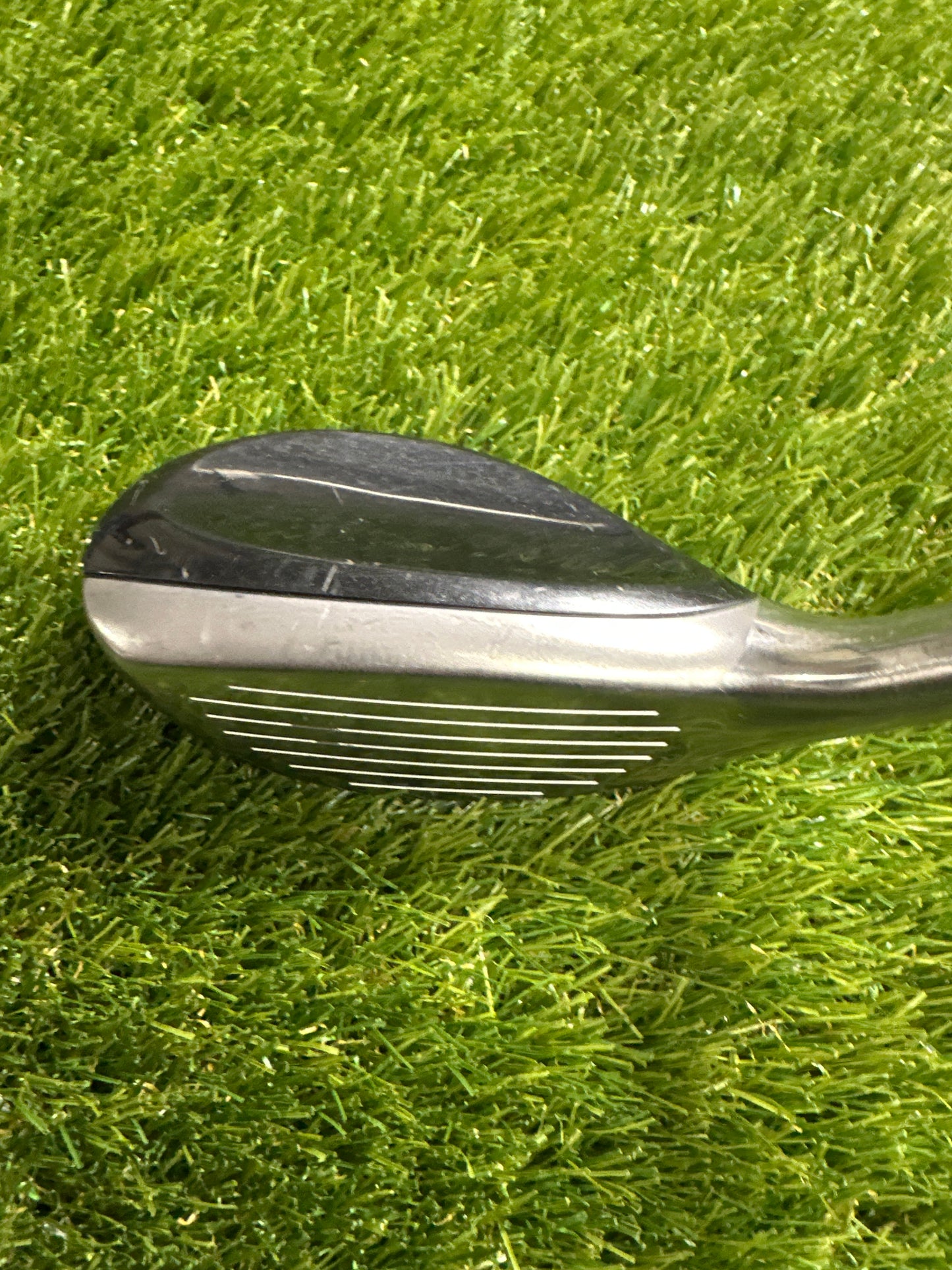 Cleveland Halo 2/19 HYB