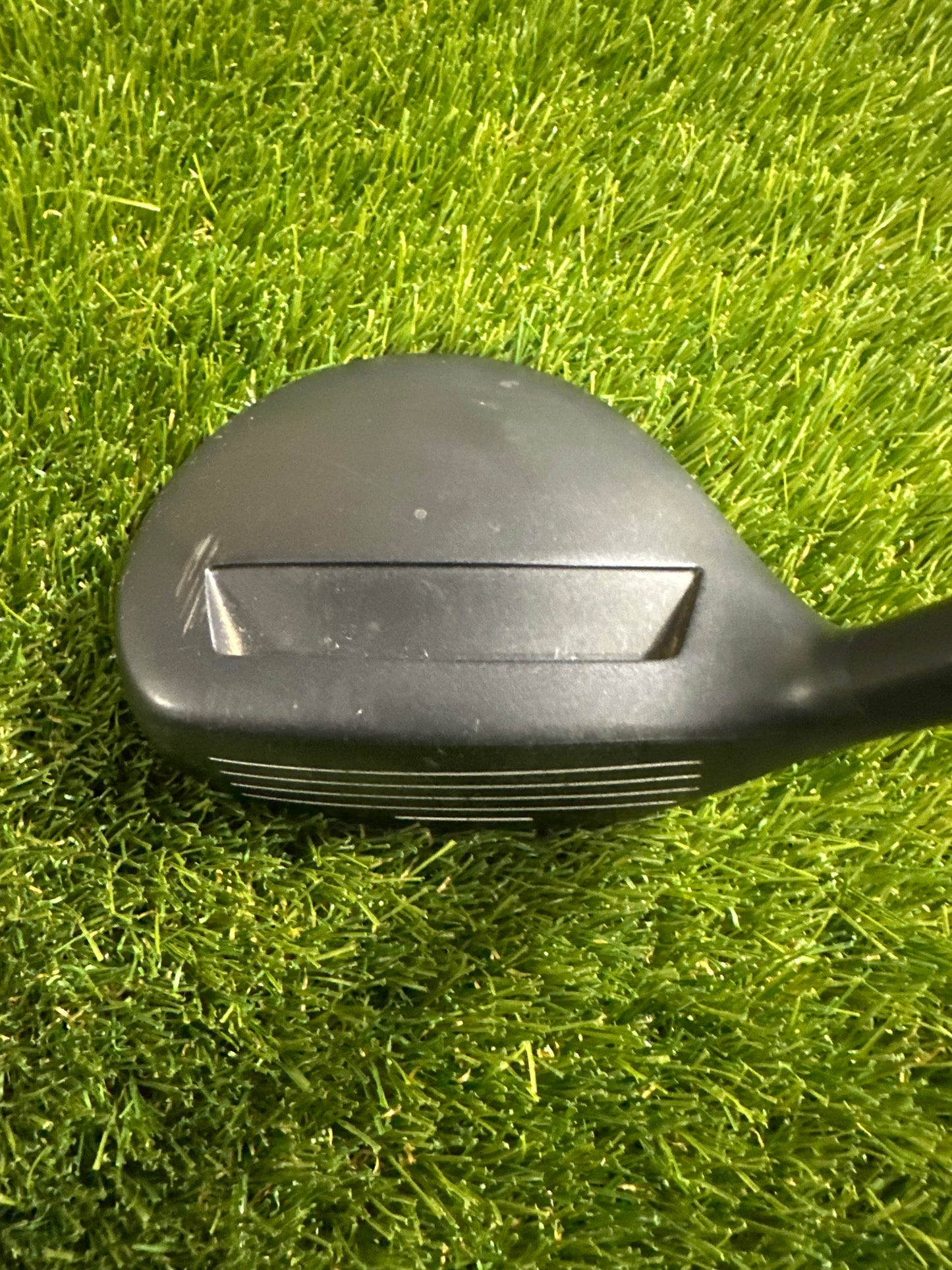 Adams Tightlies 16 FWY