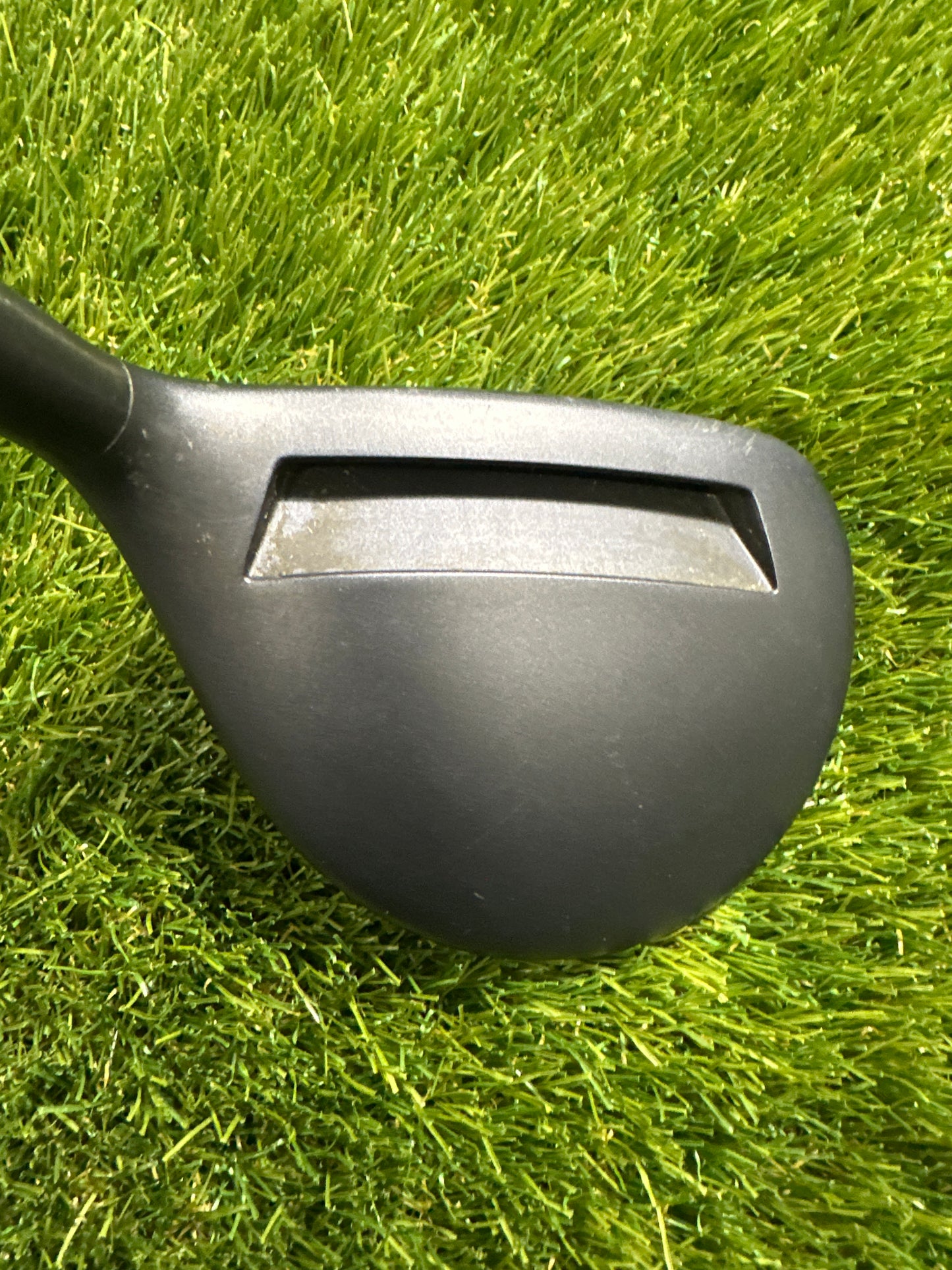Adams Tightlies 16 FWY