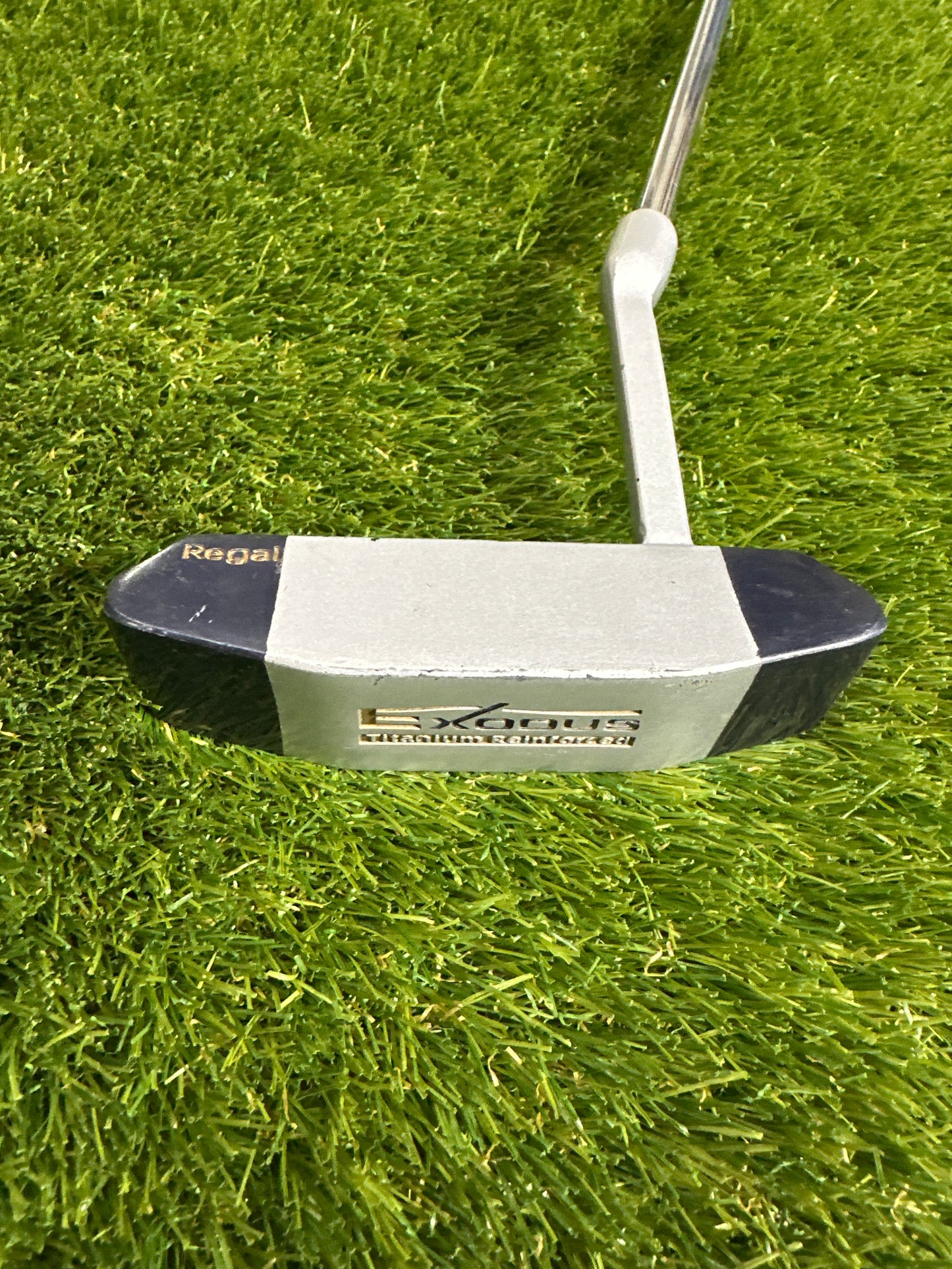 Regal Exodus 3-SW Irons