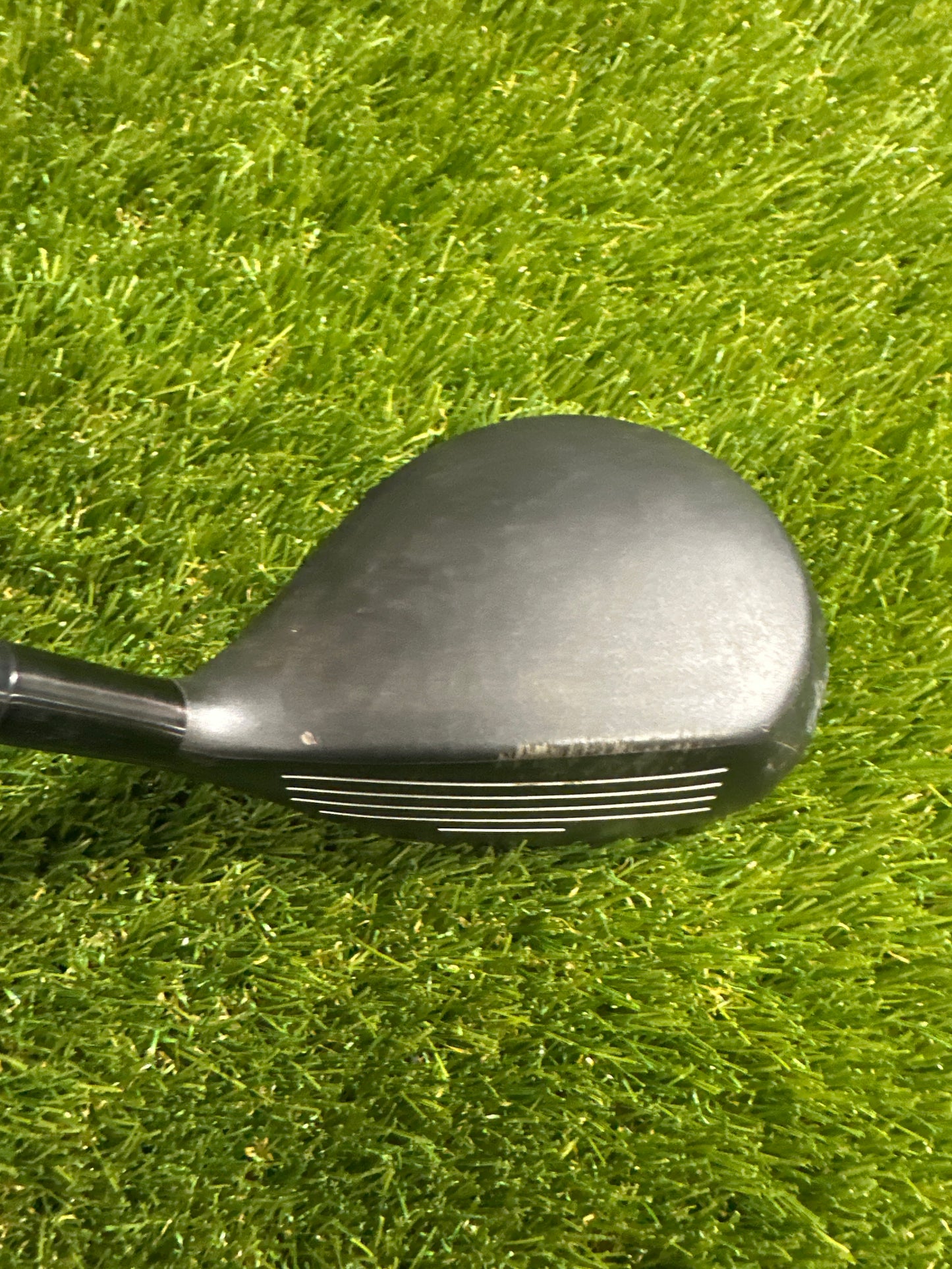 Adams Tightlies 5/19 FWY