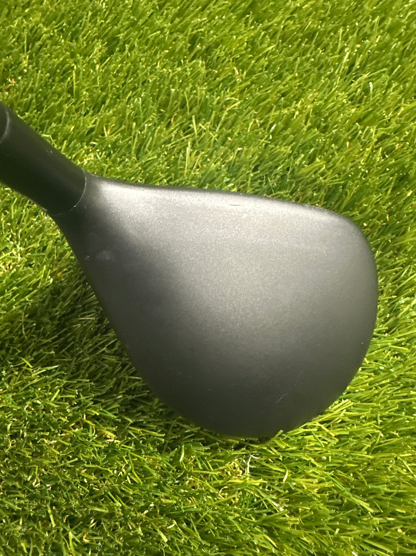 Adams Tightlies 5/19 FWY