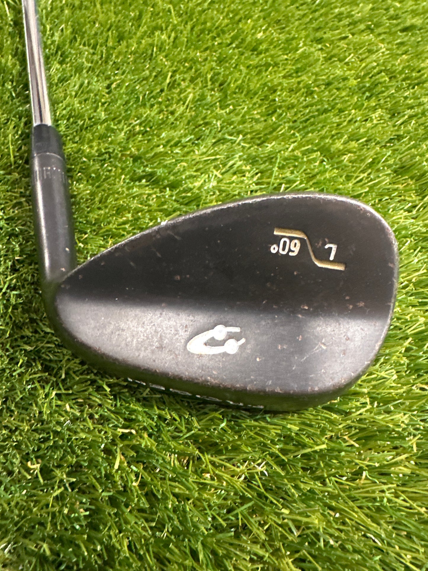 Progen 60 Wedge