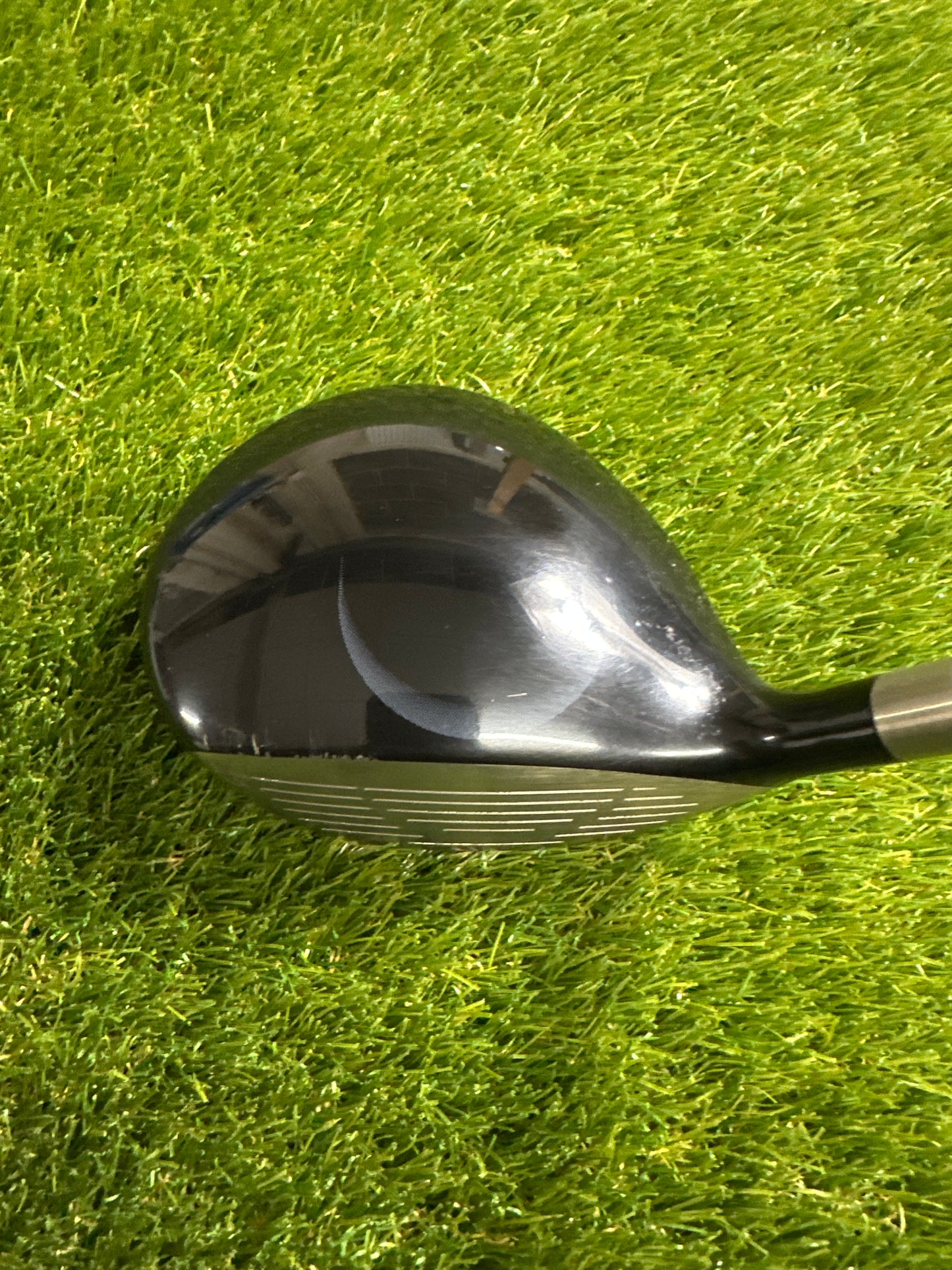 Ping Rapture 3/14 FWY