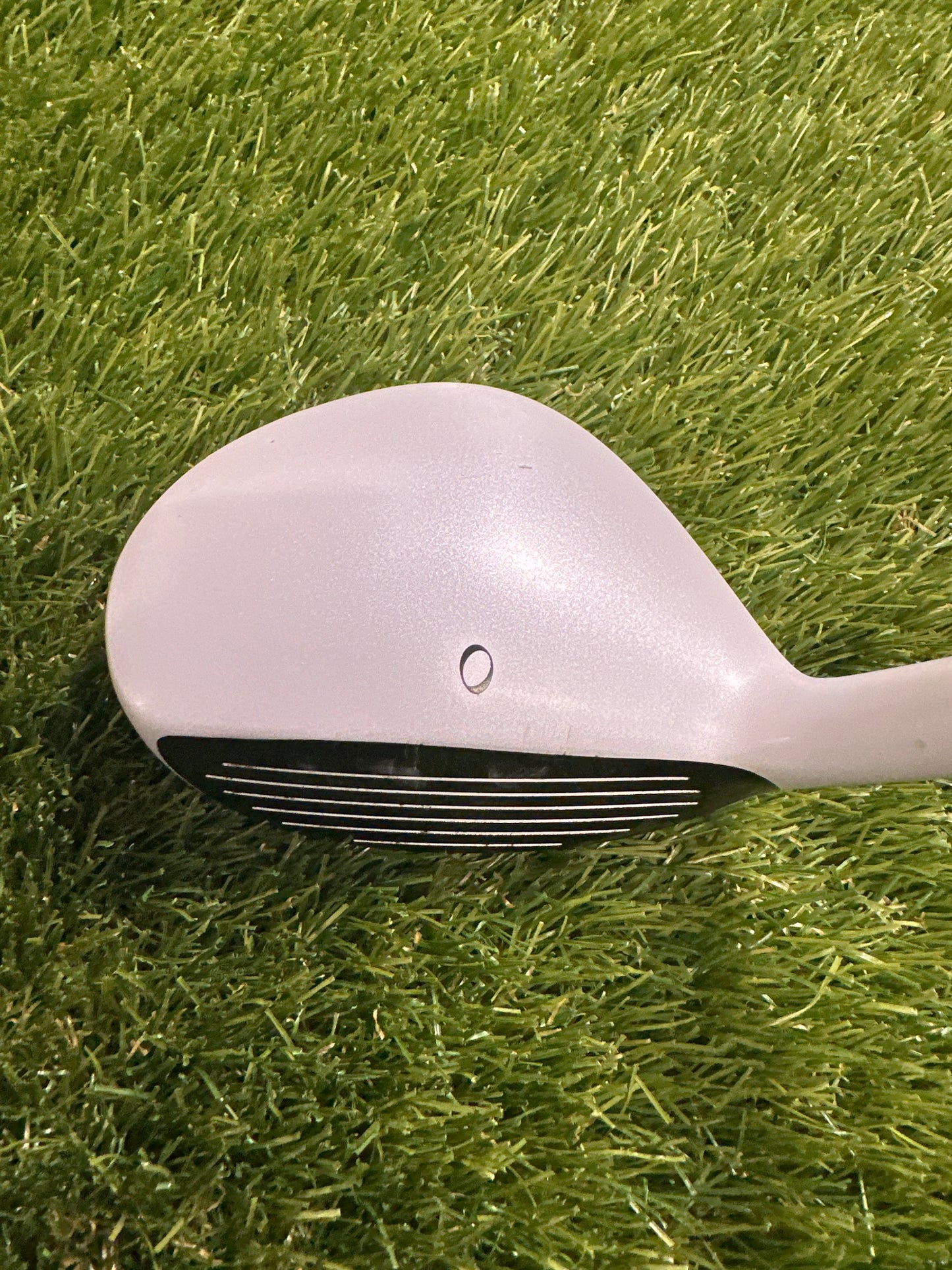 Palm Springs E21 5 HYB