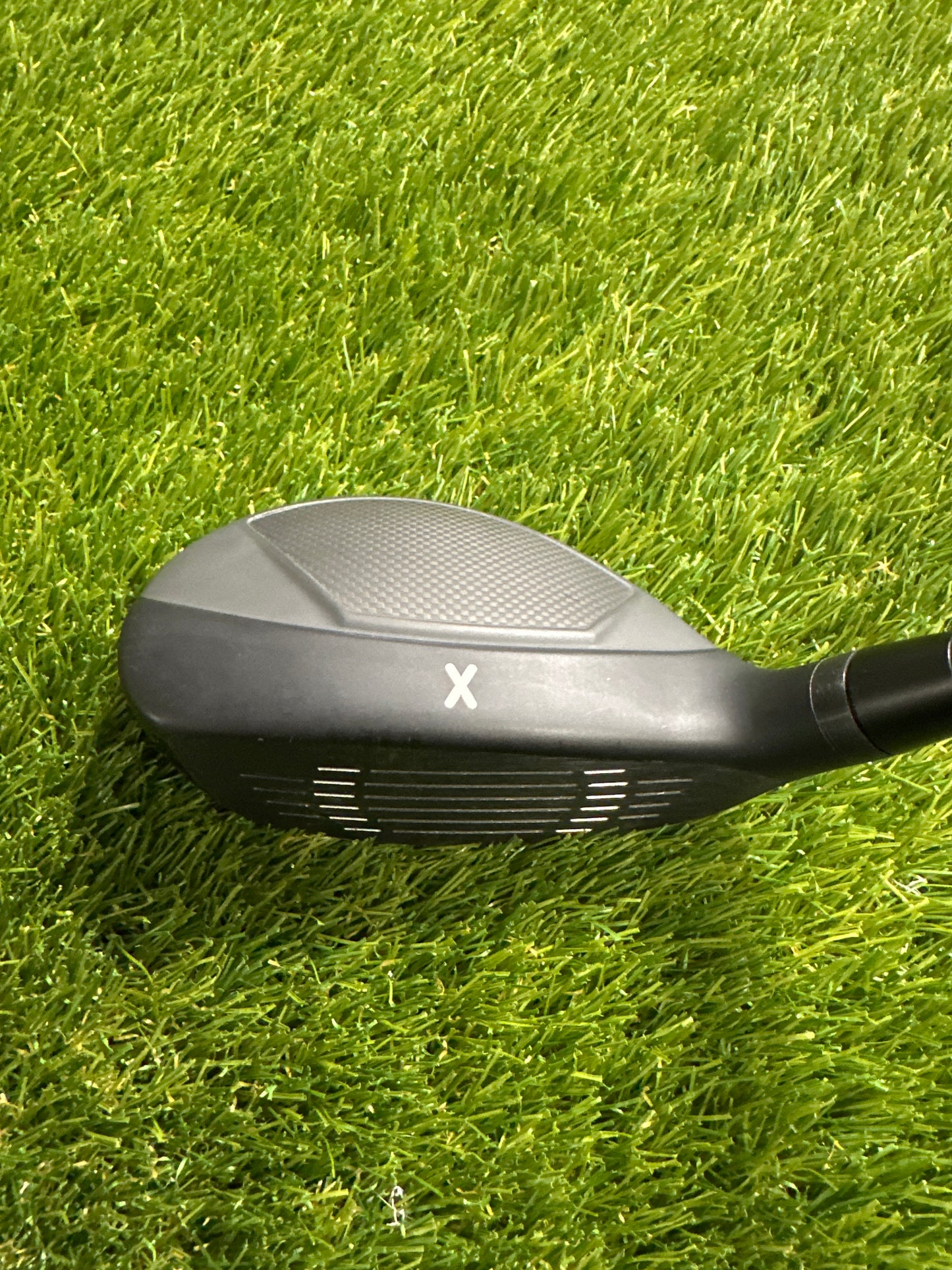 PXG 0317X Proto 17 HYB