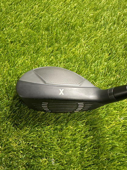 PXG 0317X Proto 17 HYB