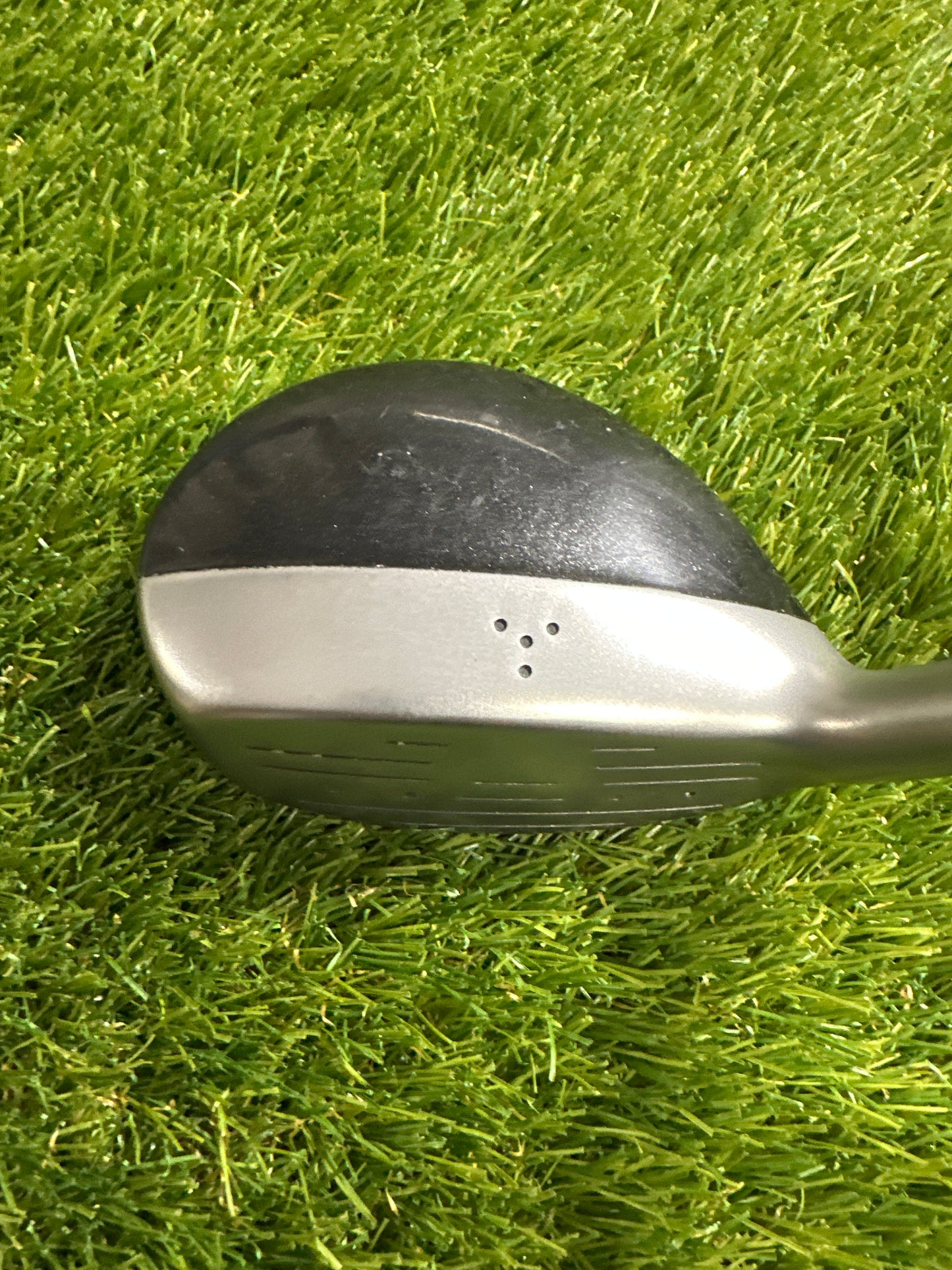 Progen Progress 5/19 FWY