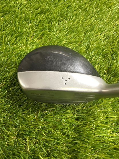 Progen Progress 5/19 FWY