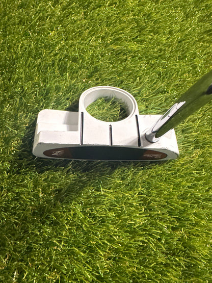 TaylorMade Rossa Daytona Ghost 34" Putter