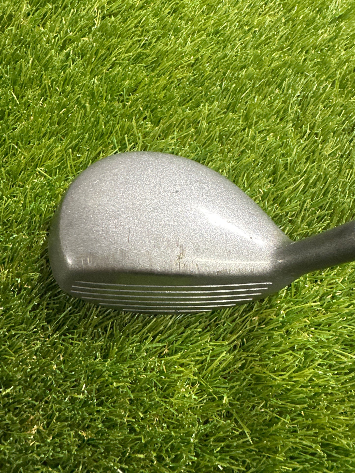 Adams Tight Lies Strong 7/24 FWY