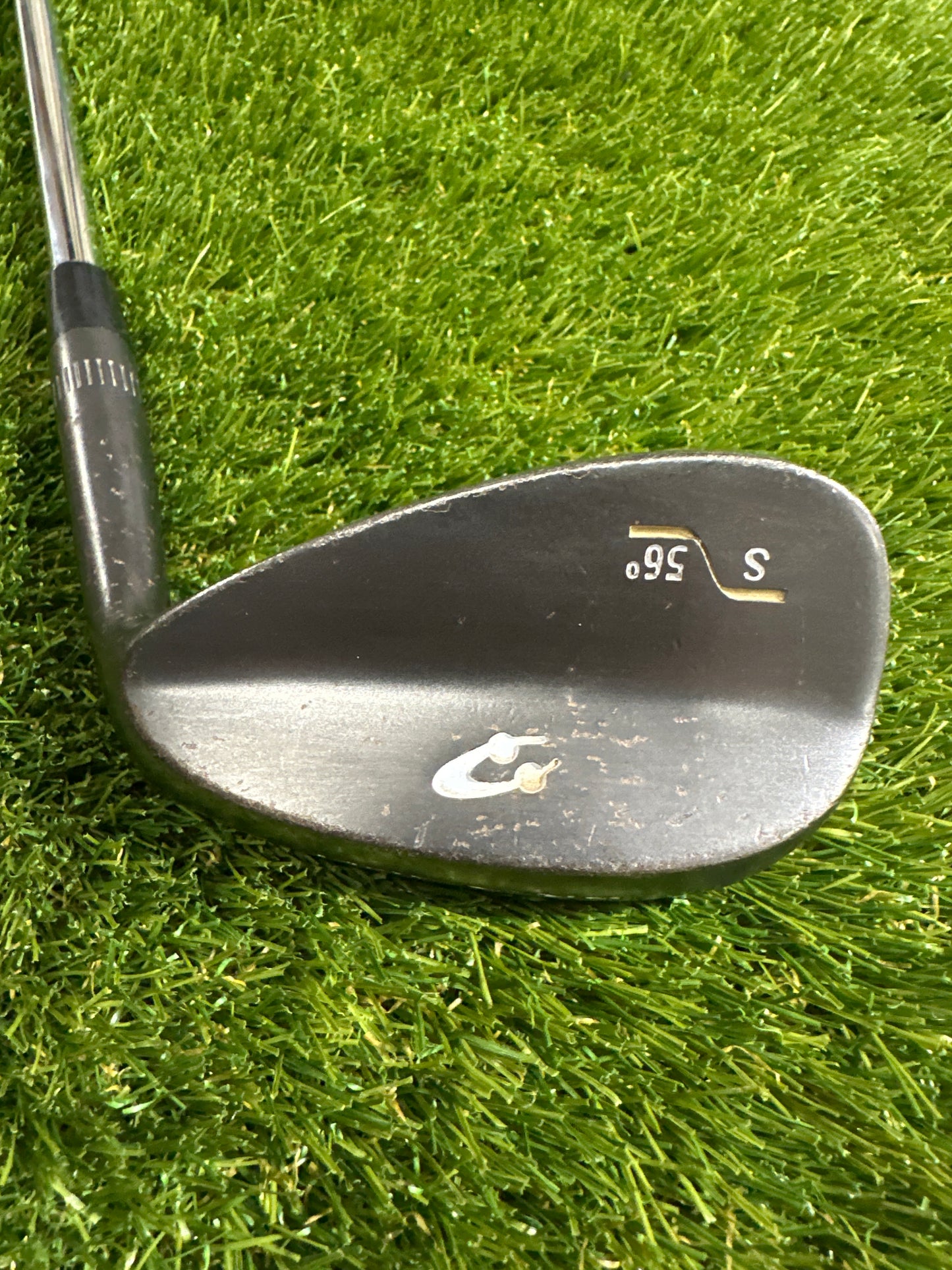 Progen 56 Wedge