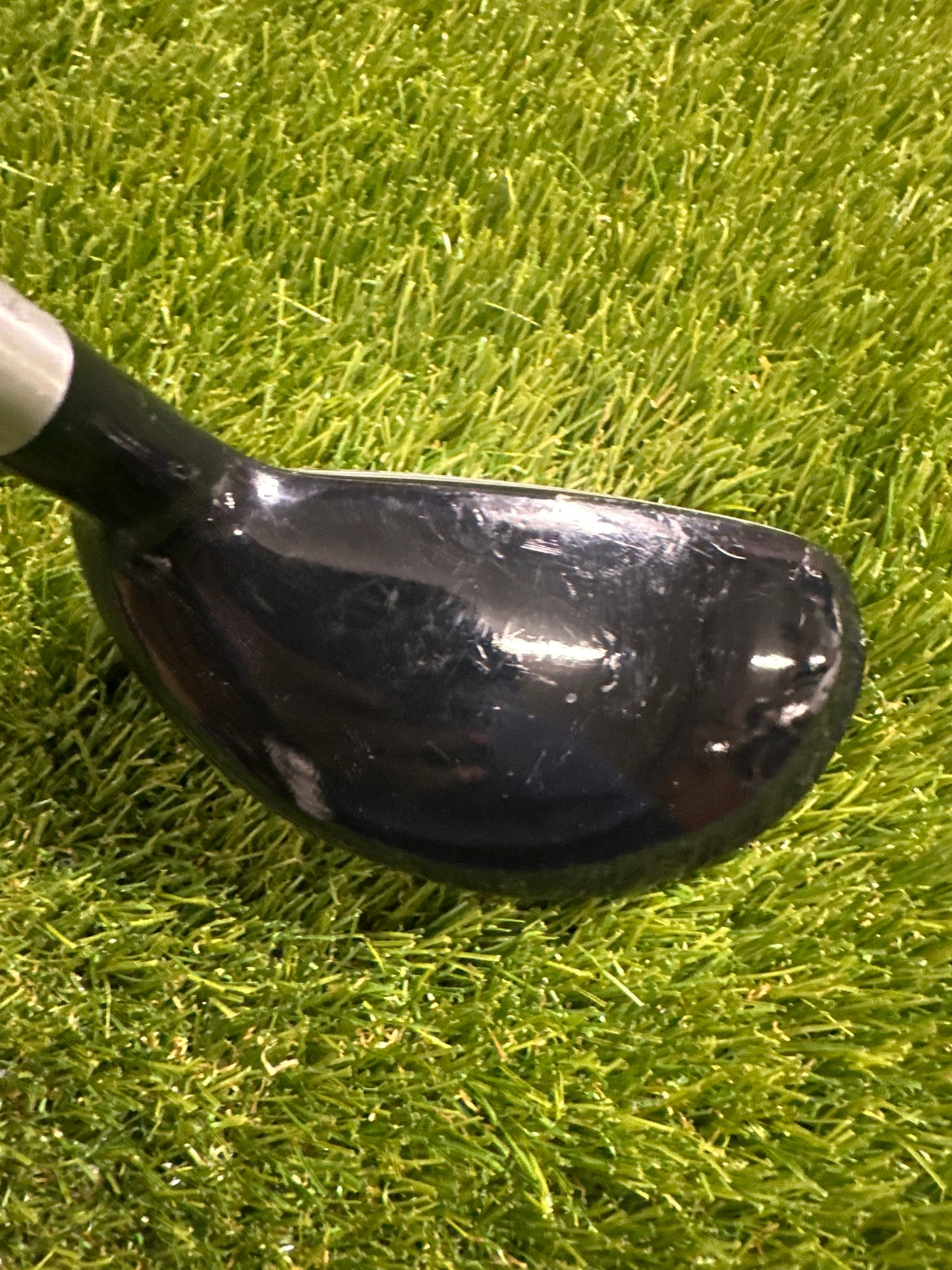 Golden Bear TR261 3 HYB