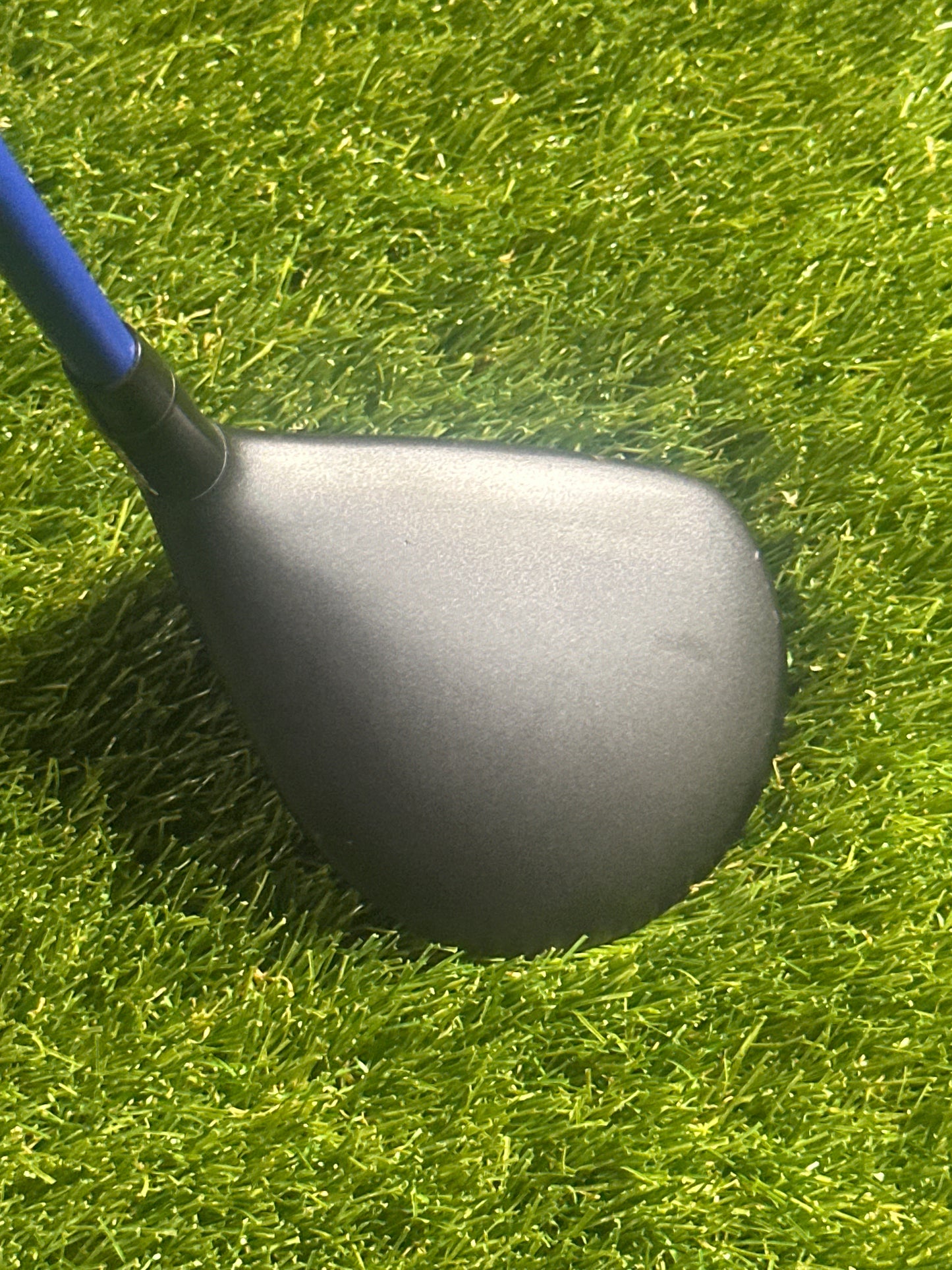 Adams Tightlies 16 FWY