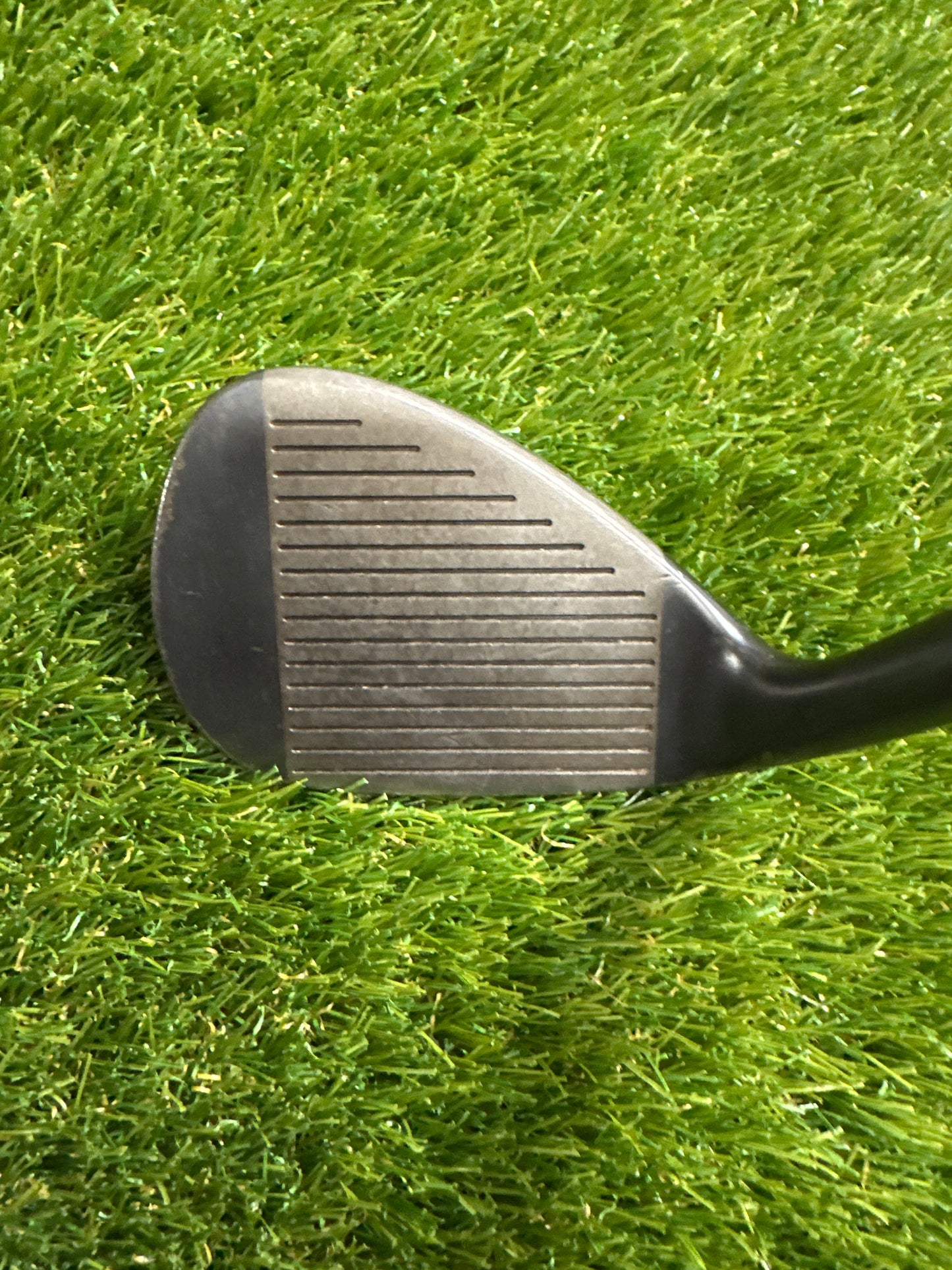 Progen 49 Wedge