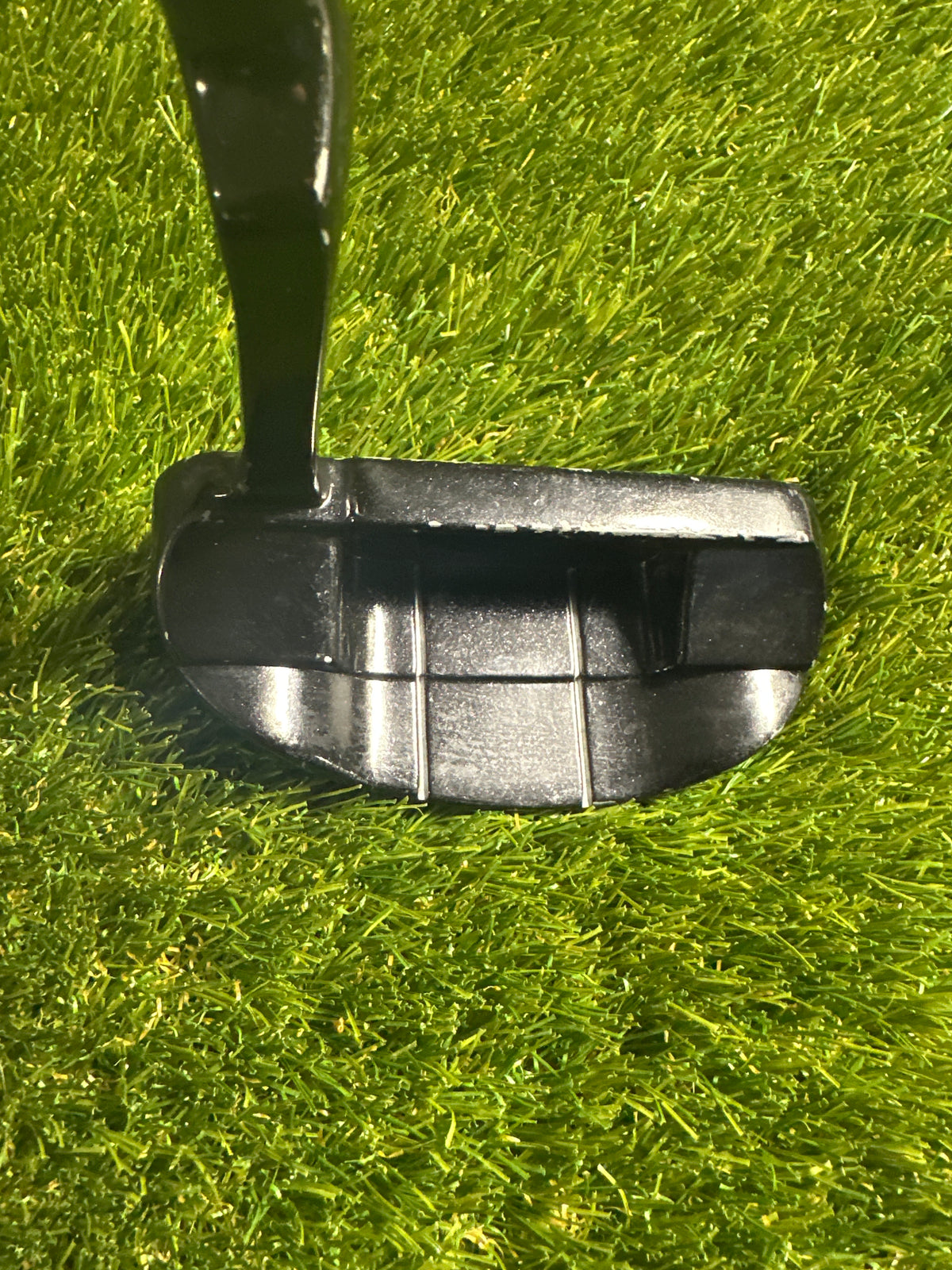 Wild Thing One 35" Putter
