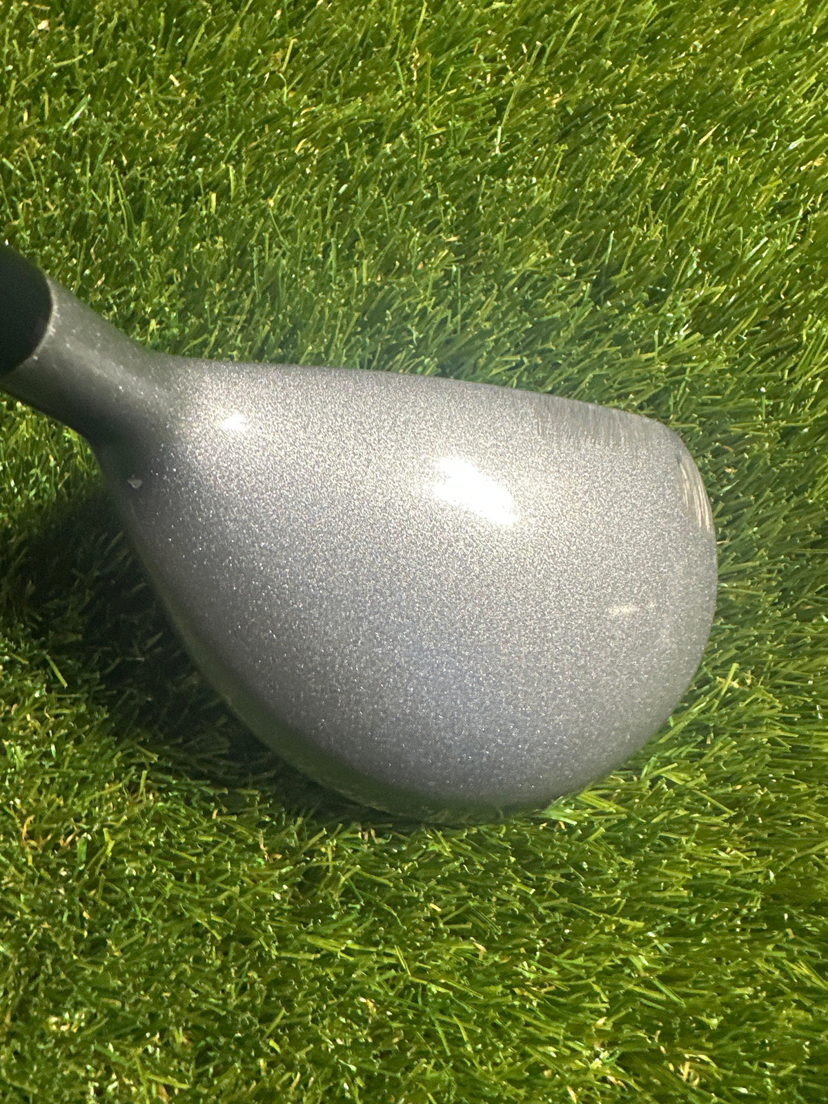 Adams TightLies 2 FWY