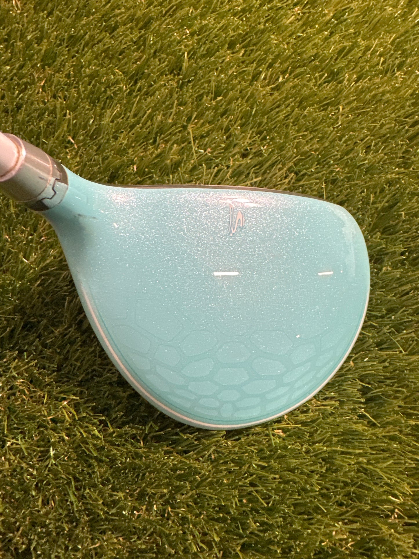 Cobra Bio Cell 19.5 FWY