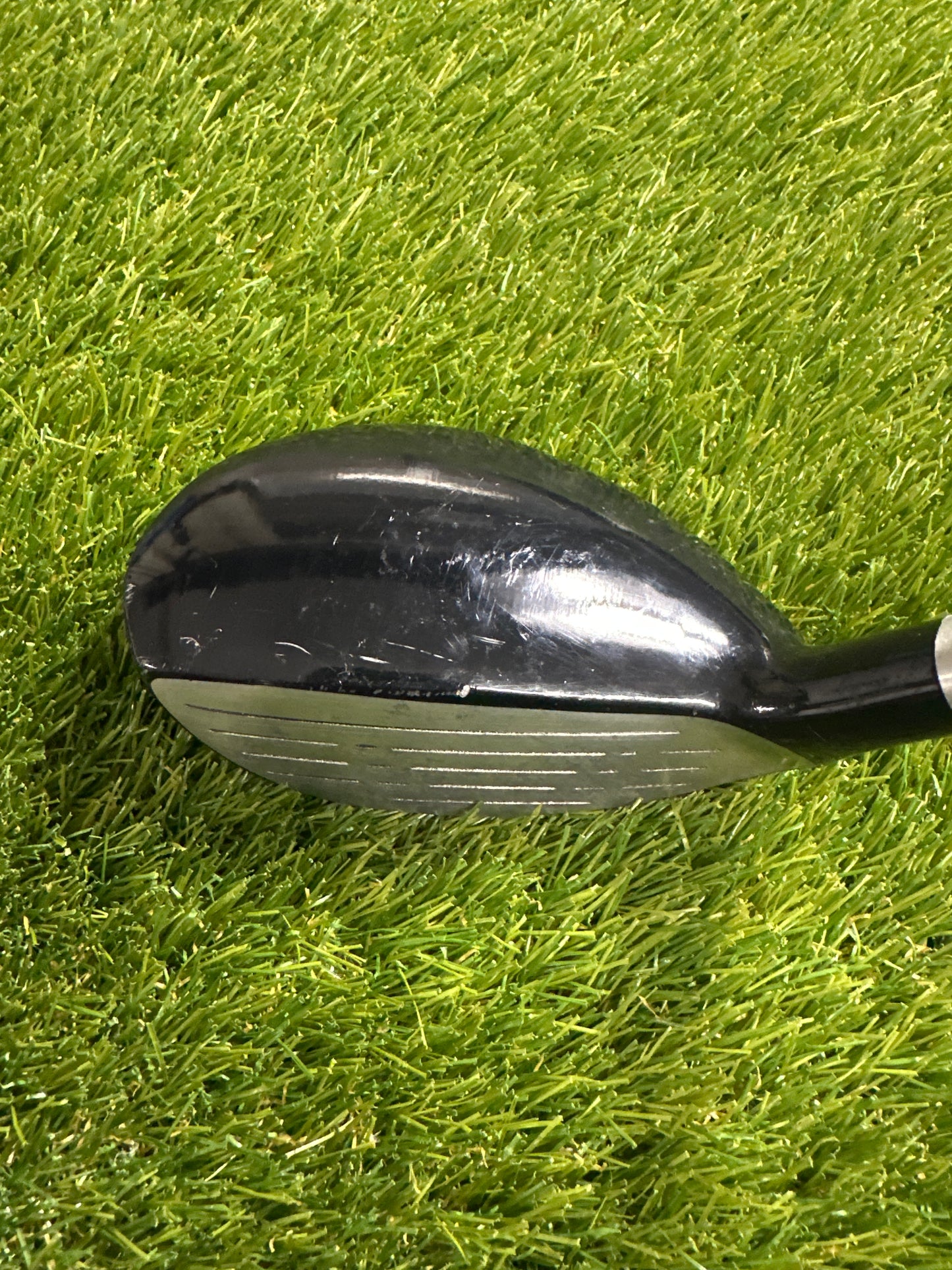 Golden Bear TR261 3 HYB