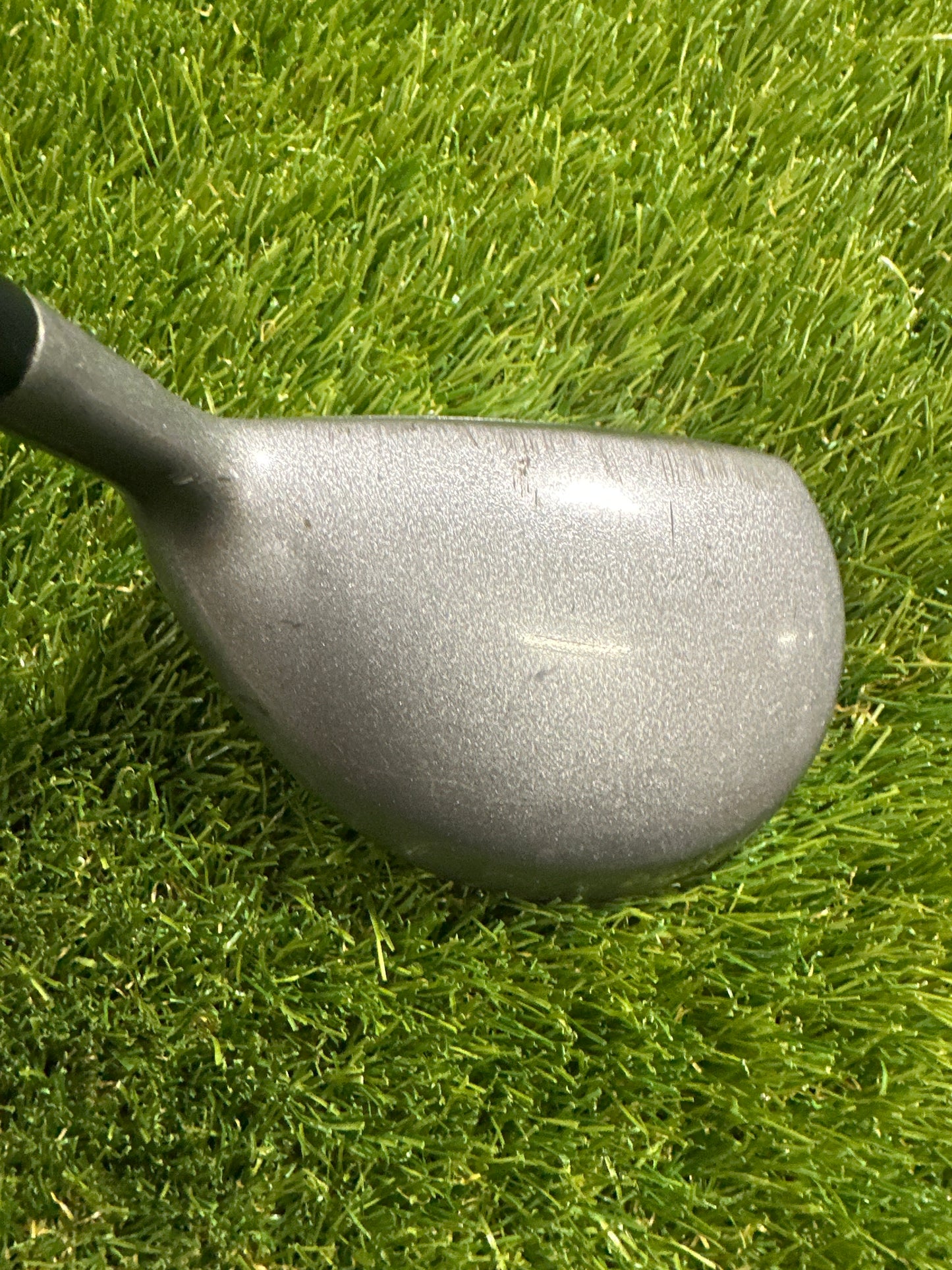 Adams Tight Lies Strong 7/24 FWY