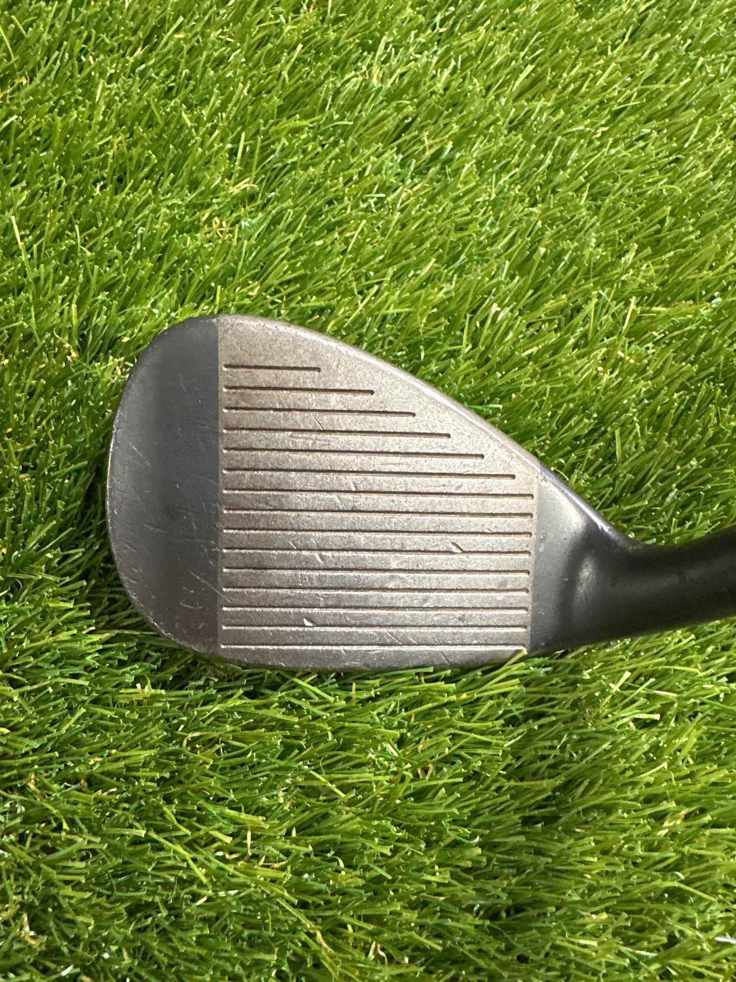 Progen 56 Wedge