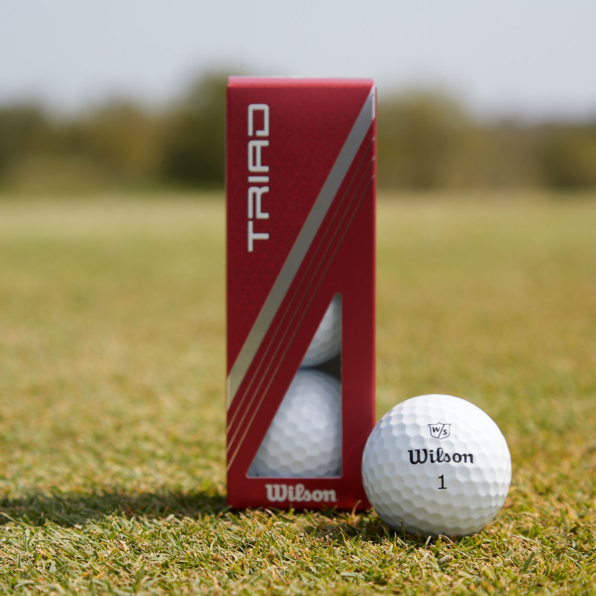 Wilson Triad Dozen Balls