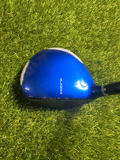 Cobra Amp Cell 3 FWY